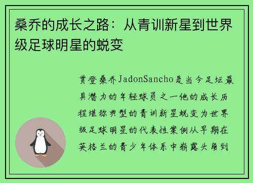 桑乔的成长之路：从青训新星到世界级足球明星的蜕变