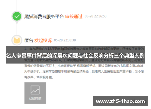 名人家暴事件背后的深层次问题与社会反响分析三个典型案例