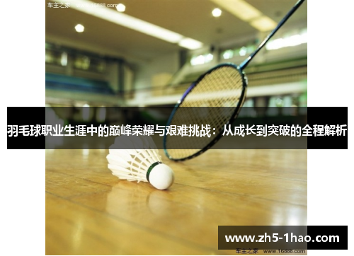 羽毛球职业生涯中的巅峰荣耀与艰难挑战：从成长到突破的全程解析