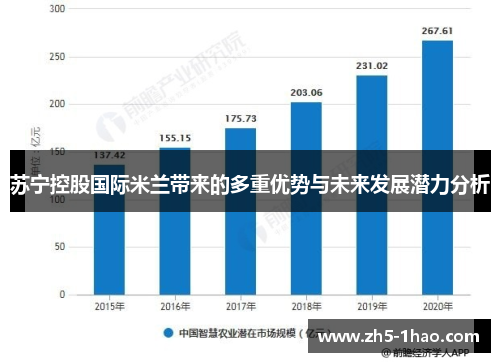 苏宁控股国际米兰带来的多重优势与未来发展潜力分析 苏宁控股国际米兰带来的多重优势与未来发展潜力分析