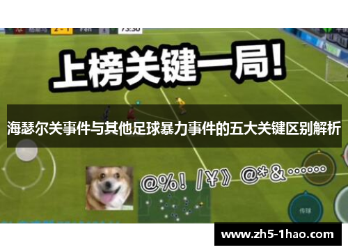 海瑟尔关事件与其他足球暴力事件的五大关键区别解析