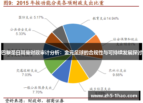 巴黎圣日耳曼财政审计分析：金元足球的合规性与可持续发展探讨